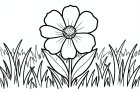 bloem in een weide