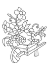 Afbeeldingen bloemen in kruiwagen