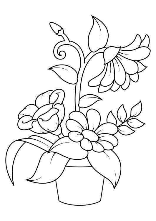 bloemen
