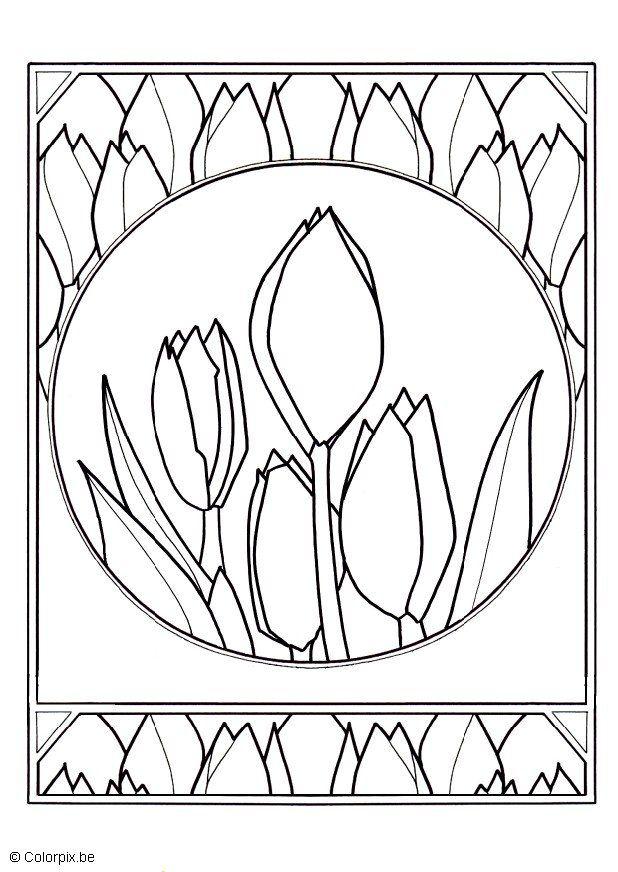 Kleurplaat Tulpen