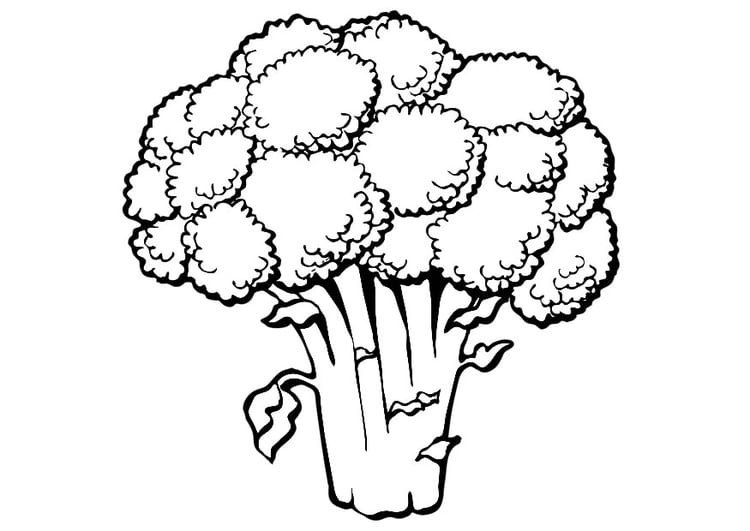 Kleurplaat broccoli