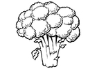 Kleurplaten broccoli