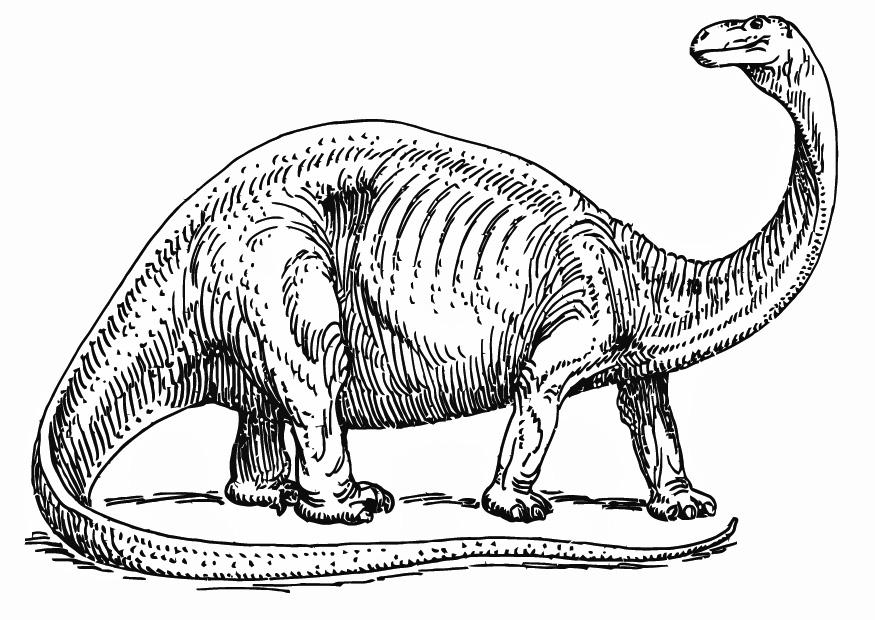 Kleurplaat brontosaurus