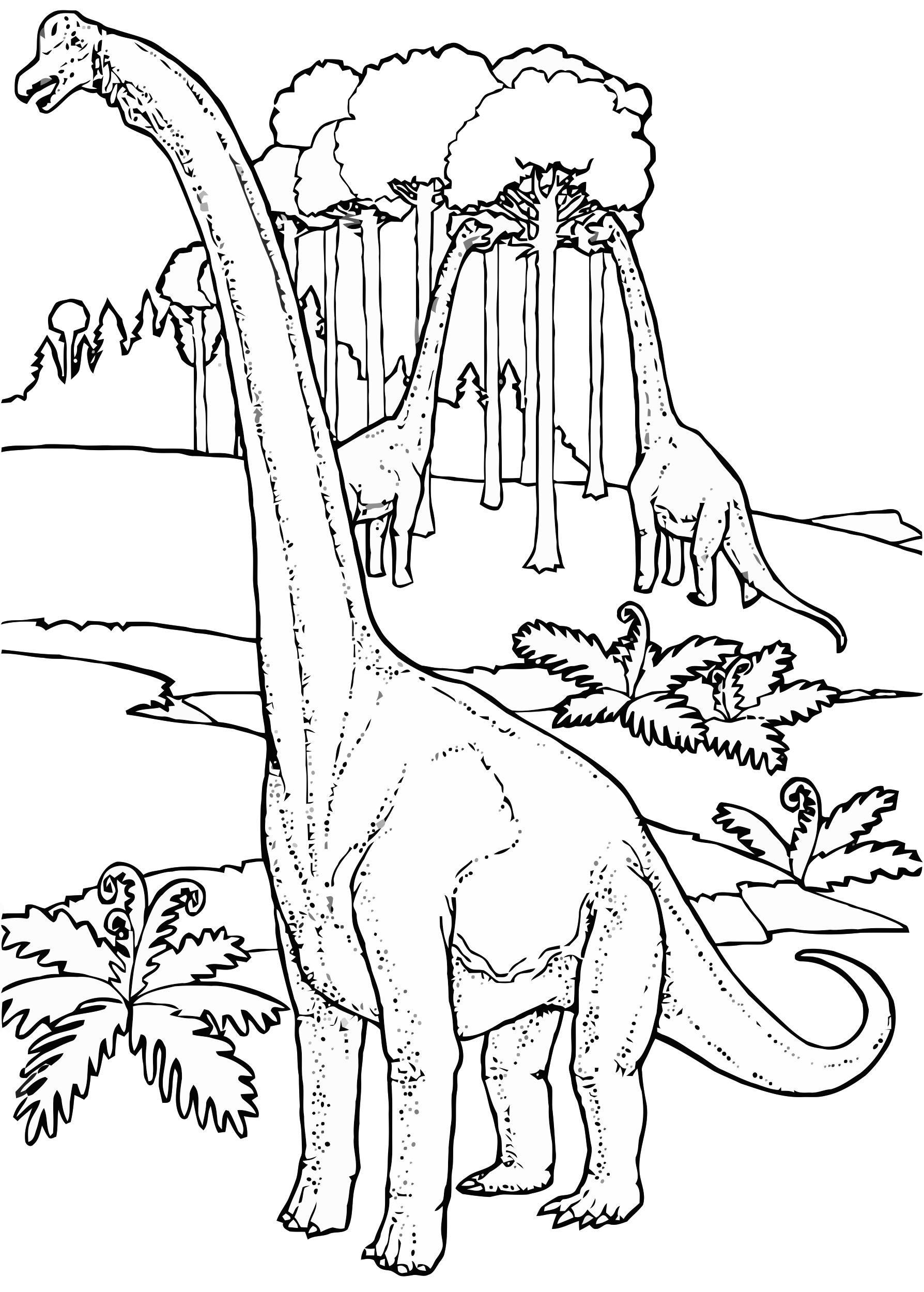 Kleurplaat brontosaurussen