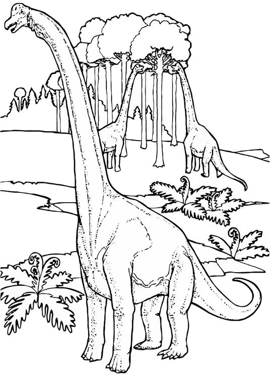 brontosaurussen
