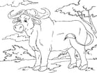 Kleurplaat buffel