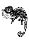Kleurplaat chameleon