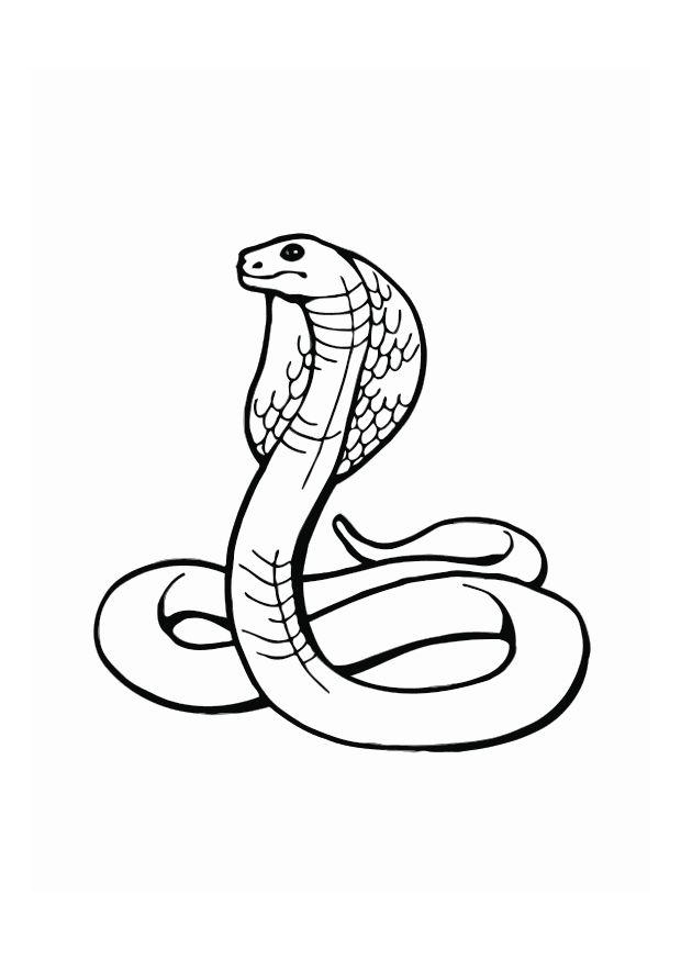 Kleurplaat cobra
