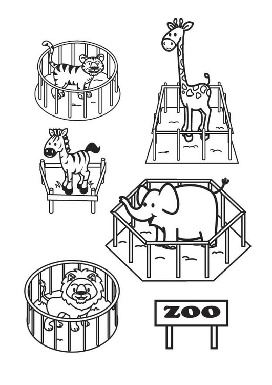 Kleurplaat de zoo