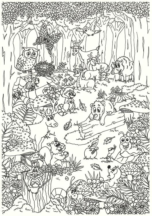 dieren in het bos