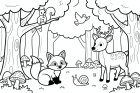 dieren in het bos