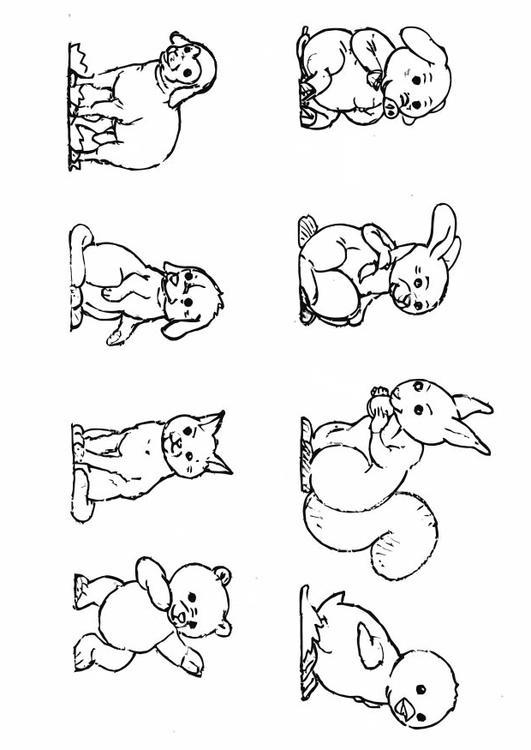 dieren