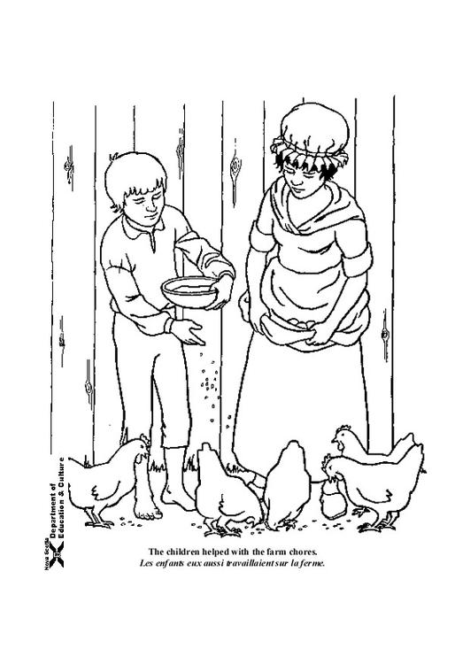 dieren voederen