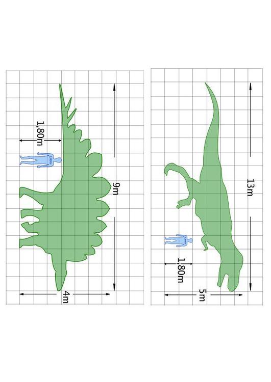 dinosaurus afmetingen