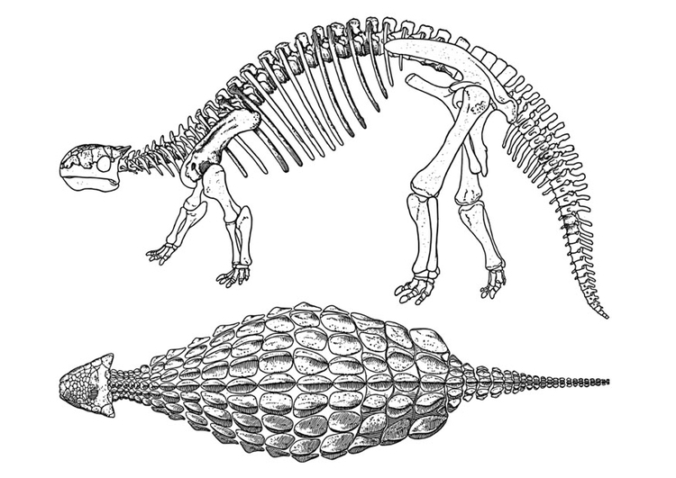 Kleurplaat dinosaurus - ankylosaurus