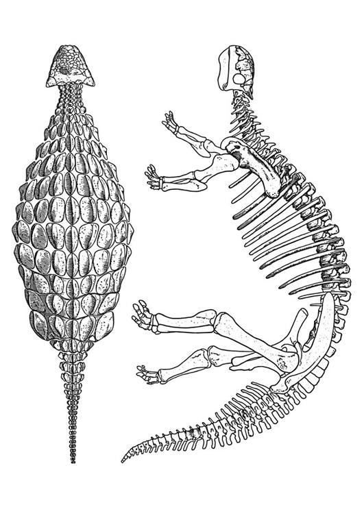 dinosaurus - ankylosaurus