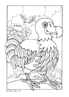 Kleurplaat dodo