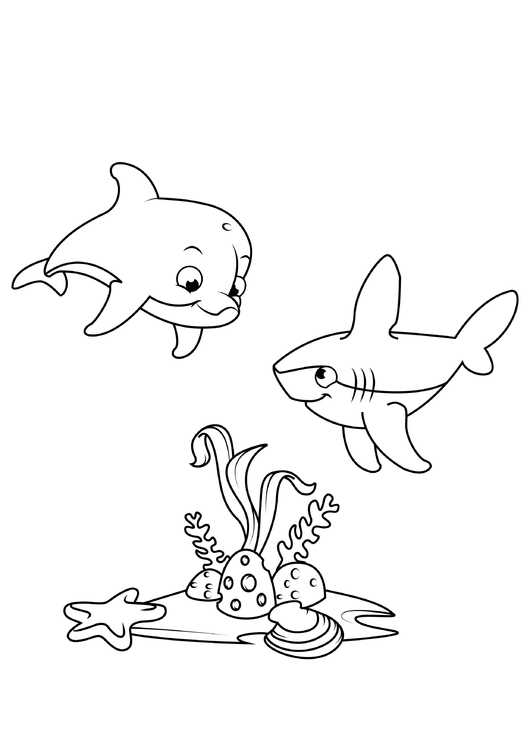 Kleurplaat dolfijn en haai