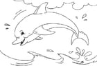 Kleurplaat dolfijn