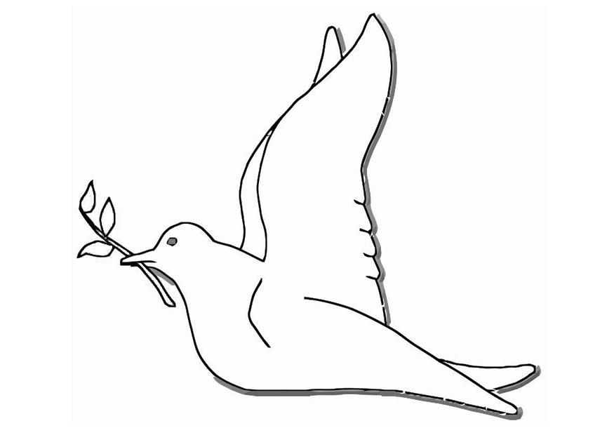 Kleurplaat Van Duif Die Een Takje Met Bladeren Vasthoudt Kleurplaat Van Duif Die Een Takje Met Bladeren Vasthoudt