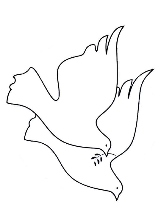 duiven