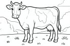 een koe in de weide