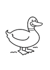 kleurplaat eend