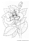elf