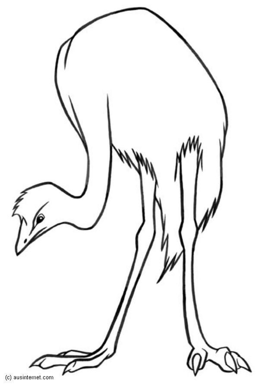 Kleurplaat emu