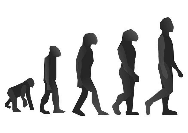 Kleurplaat evolutie