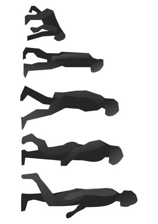evolutie