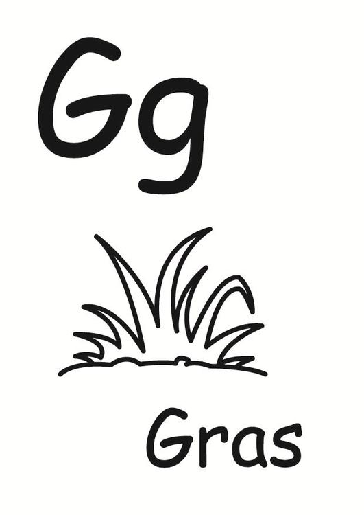 g