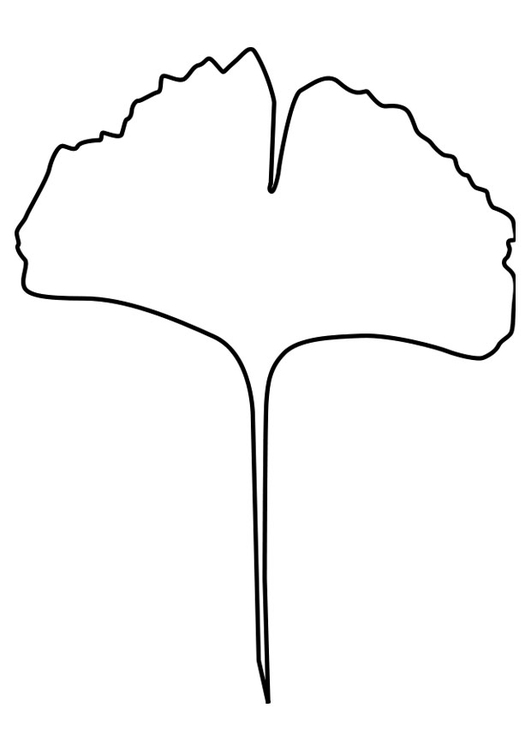 Kleurplaat ginko blad