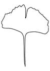 Kleurplaat ginko blad