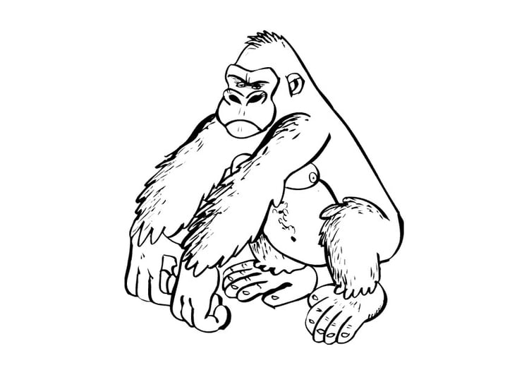 Kleurplaat gorilla