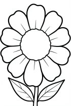 grote bloem