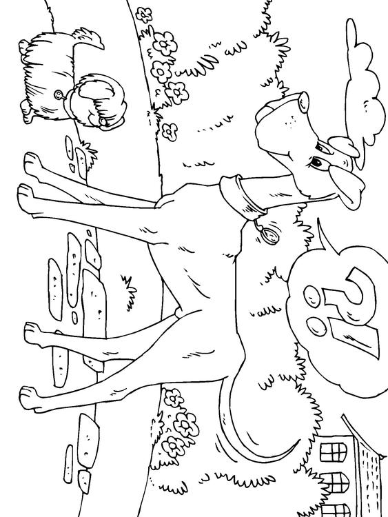 grote hond en kleine hond