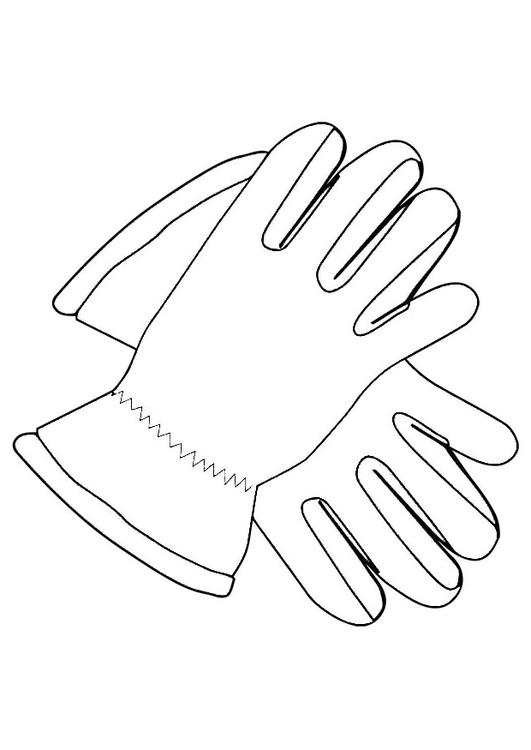 handschoenen