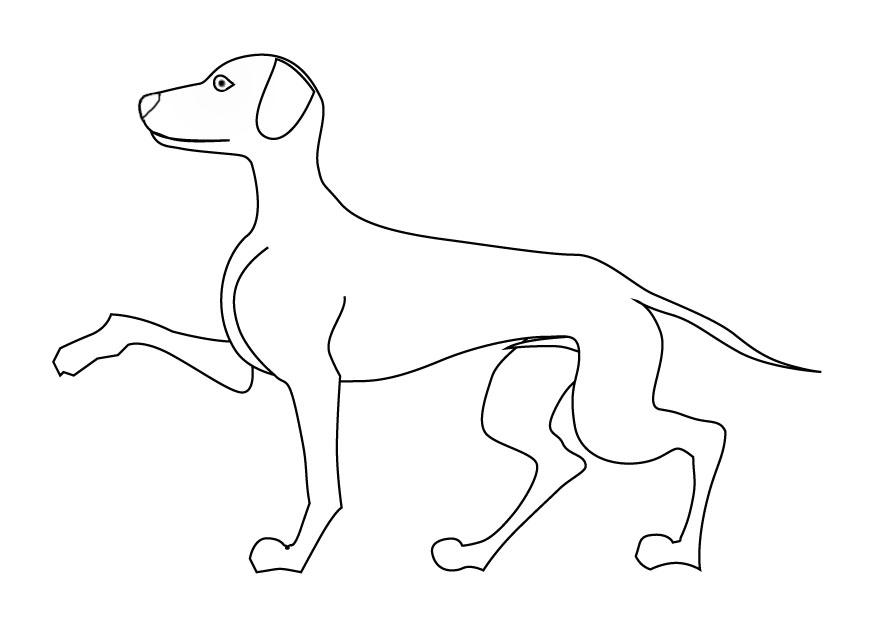 Kleurplaat hond