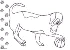 Kleurplaten hond