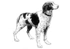 Kleurplaat hond - spaniel