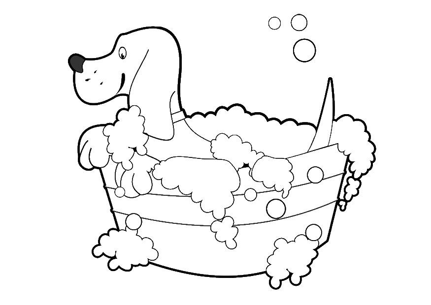 Kleurplaat hond wassen 