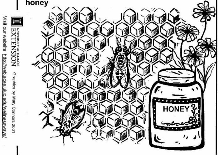 Kleurplaat honing