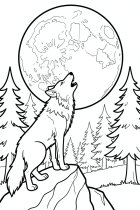 huilende wolf op een rots