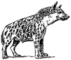 Kleurplaat hyena