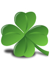 Afbeelding Iers klavertje - Shamrock 