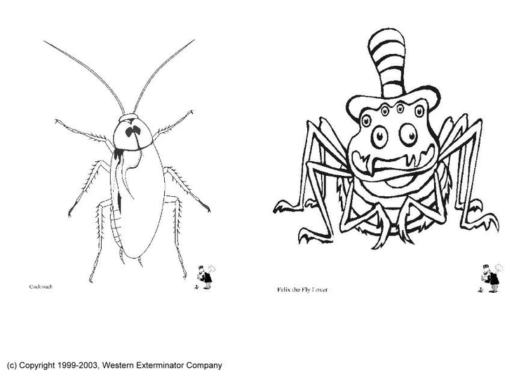 Kleurplaat insecten