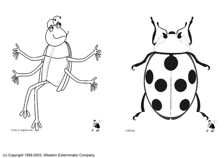 Kleurplaat insecten