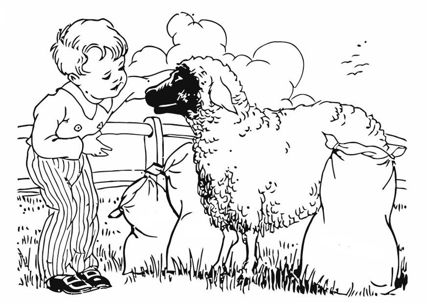 Kleurplaat jongen met schaap