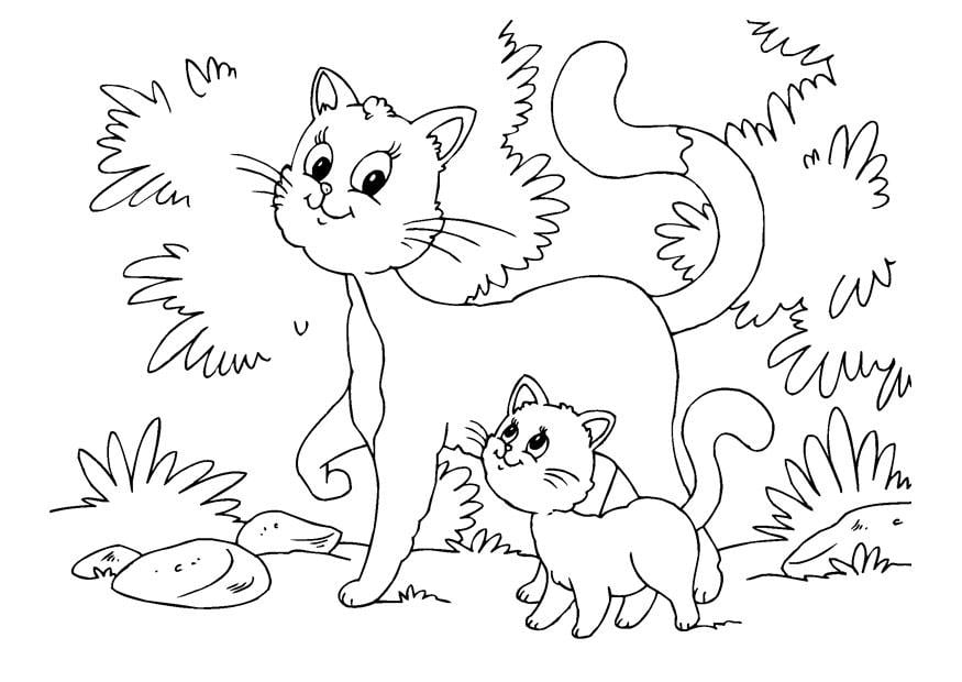 Kleurplaat kat en kitten